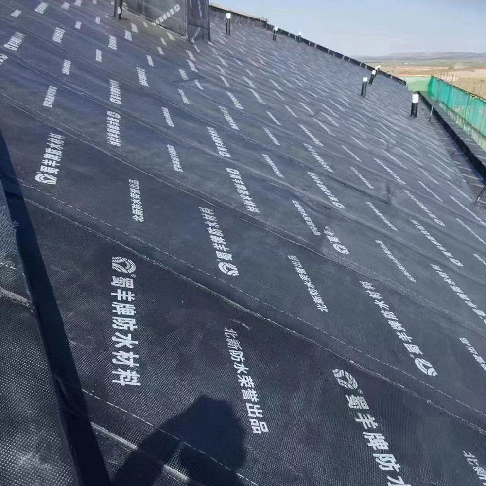SBS Elastomer Modified Bitumen Waterproof Membrane